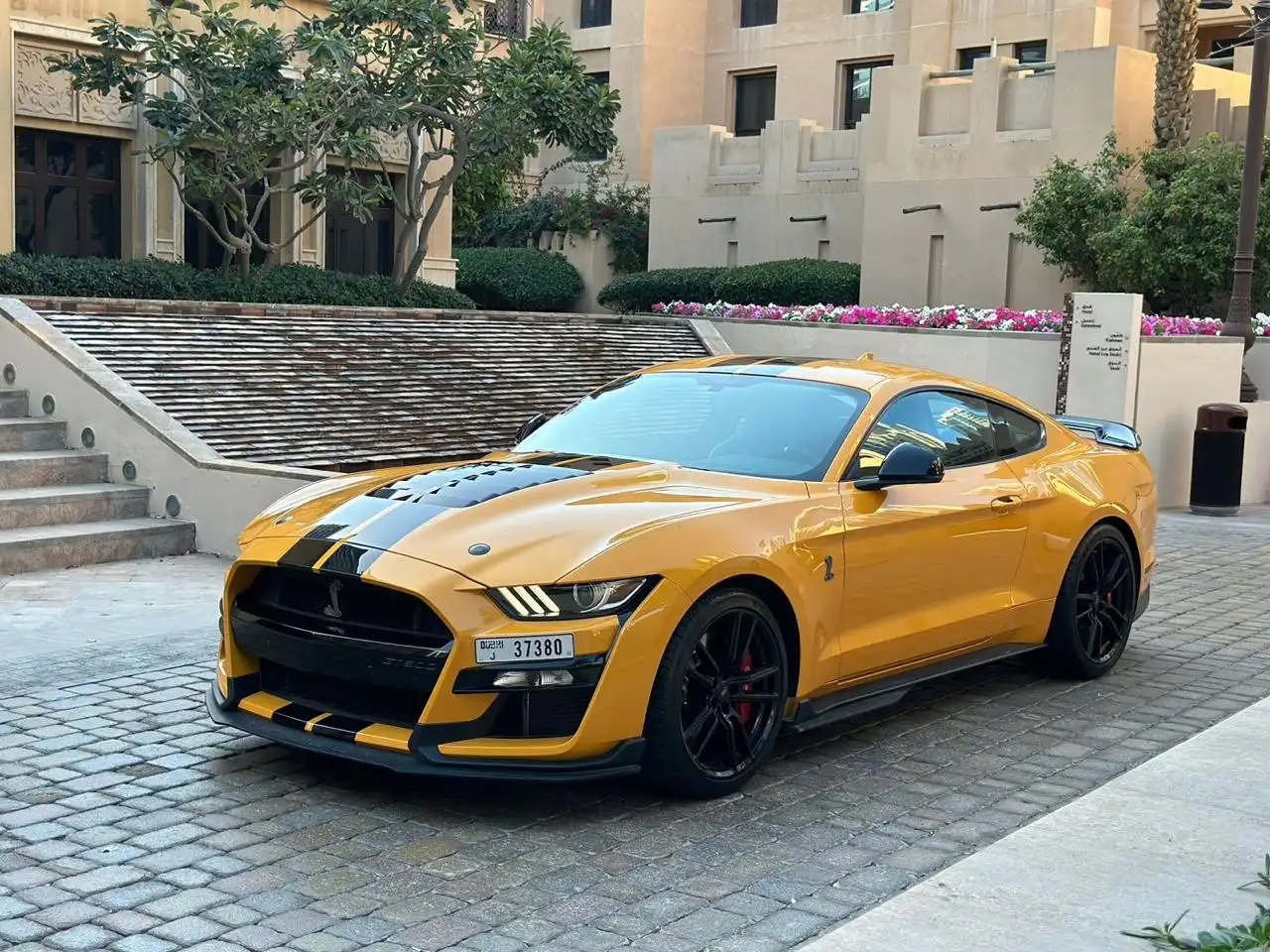 شيلبي GT500