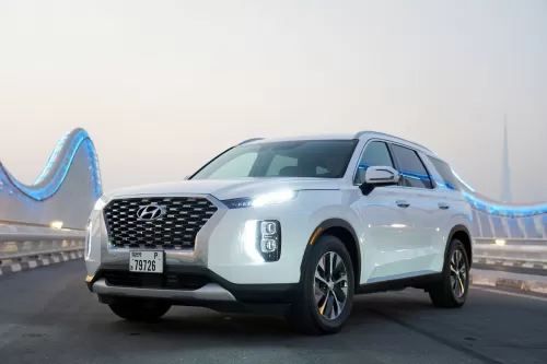 Hyundai Palisade 2020